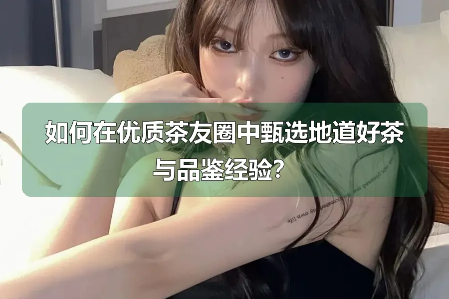 如何在优质茶友圈中甄选地道好茶与品鉴经验？